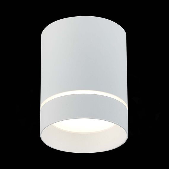 ST LUCE ST115.542.12 Светильник потолочный Белый LED 1*12W 4000K 840Lm Ra>90 120° IP20 D79xH100 170-240V, изображение 4