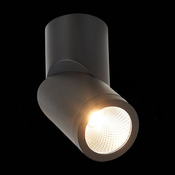ST LUCE ST650.442.10 Светильник потолочный Черный LED 1*10W 4000K 800Lm Ra>90 38° IP44 D62xH151 165-265V, изображение 5