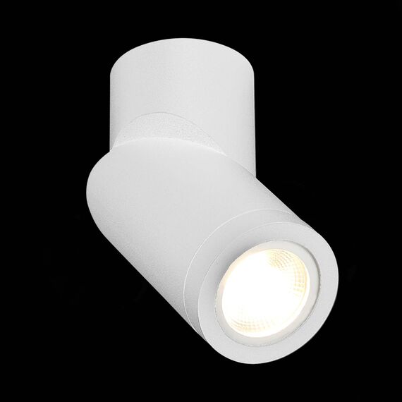ST LUCE ST650.502.01 Светильник потолочный Белый GU10 1*50W IP20 D62xH151 180-240V Без ламп, изображение 5