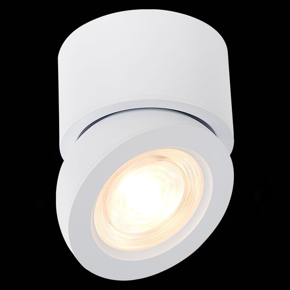 ST LUCE ST654.542.10 Светильник потолочный Белый LED 1*10W 4000K 850Lm Ra>90 38° IP20 D95xH96 180-240V, изображение 7
