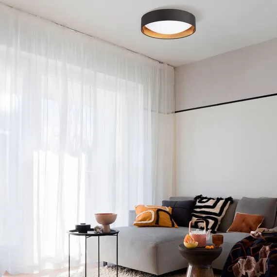 EVOLUCE SLE201102-01 Светильник потолочный Черный, Золото/Белый LED 1*24W 4000K, изображение 4