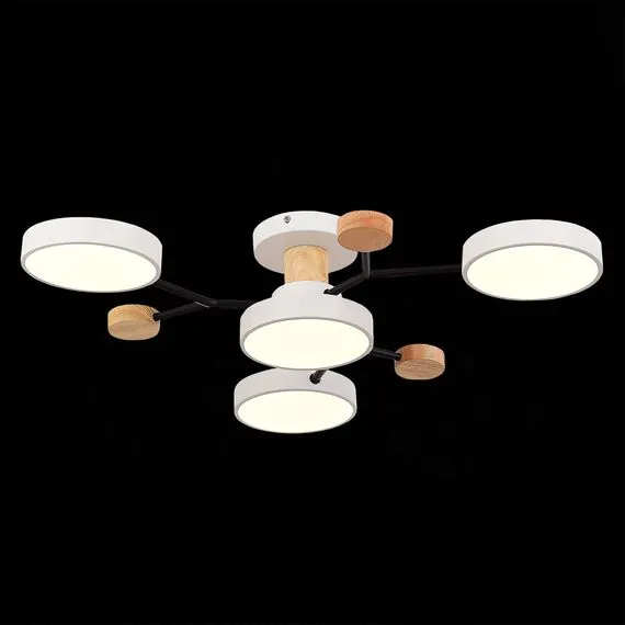 EVOLUCE SLE6006-502-04 Светильник потолочный Белый/Белый LED 4*12W 3000K/4500K/6000K, изображение 4
