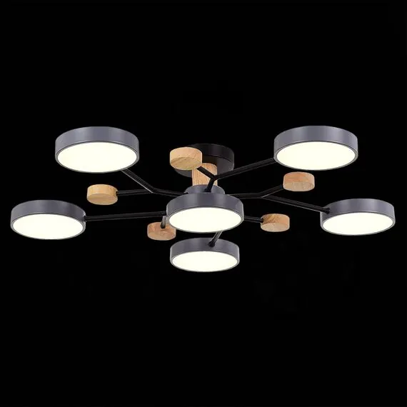 EVOLUCE SLE6006-702-06 Светильник потолочный Серый/Серый LED 6*12W 3000K/4500K/6000K, изображение 4