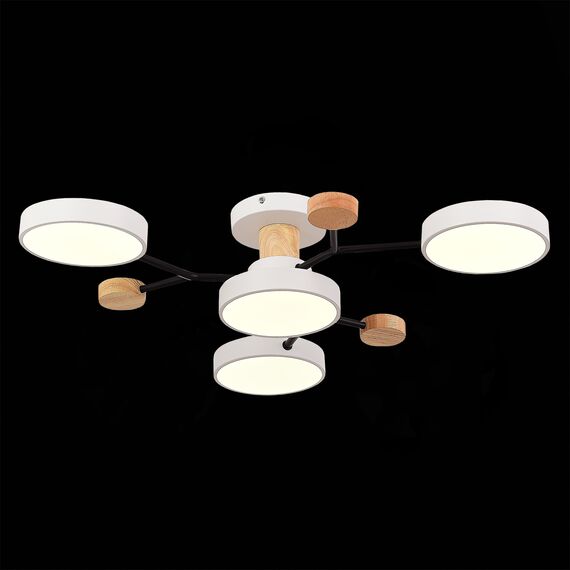 EVOLUCE SLE6006-502-04 Светильник потолочный Белый/Белый LED 4*12W 3000K/4500K/6000K, изображение 4