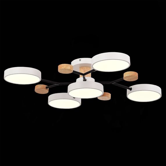 EVOLUCE SLE6006-502-05 Светильник потолочный Белый/Белый LED 5*12W 3000K/4500K/6000K, изображение 3