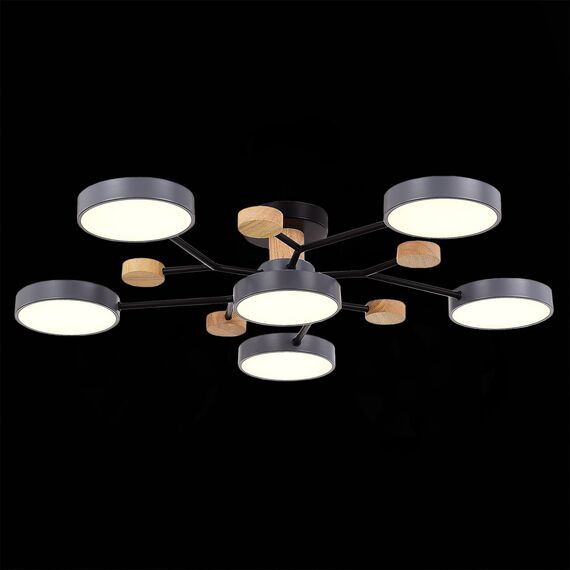 EVOLUCE SLE6006-702-06 Светильник потолочный Серый/Серый LED 6*12W 3000K/4500K/6000K, изображение 4