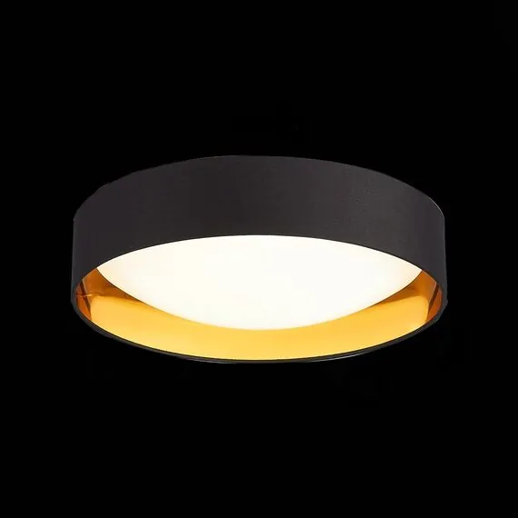 EVOLUCE SLE201102-01 Светильник потолочный Черный, Золото/Белый LED 1*24W 4000K, изображение 5