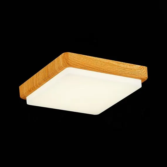 EVOLUCE SLE200202-01 Светильник потолочный Светло-коричневый/Белый LED 1*20W 4000K, изображение 4