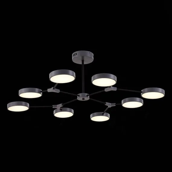 EVOLUCE SLE6003-702-08 Светильник потолочный Серый,Черный/Серый LED 8*10W, изображение 5