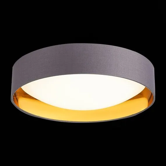 EVOLUCE SLE201112-01 Светильник потолочный Серый, Золото/Белый LED 1*24W 4000K, изображение 6