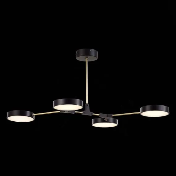 EVOLUCE SLE6004-402-04 Светильник потолочный Черный, Латунь/Черный LED 4*10W, изображение 5