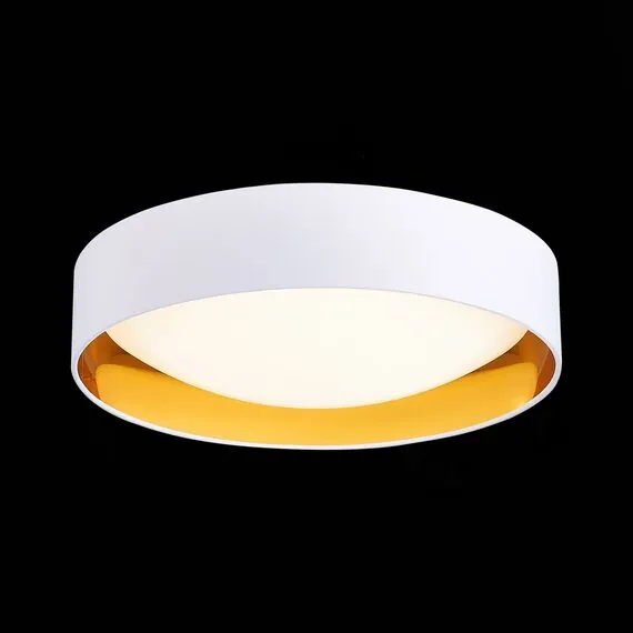 EVOLUCE SLE201122-01 Светильник потолочный Белый, Золото/Белый LED 1*24W 4000K, изображение 6