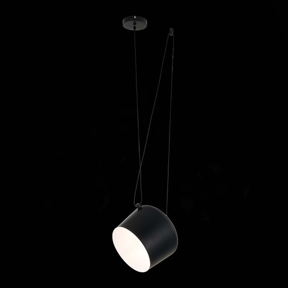EVOLUCE SLE120643-01 Подвес Черный/Черный E27 1*40W, изображение 6