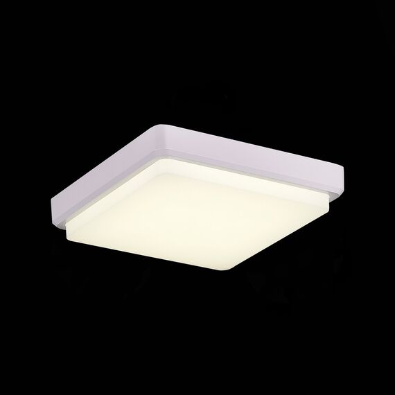 EVOLUCE SLE200212-01 Светильник потолочный Белый/Белый LED 1*20W 4000K, изображение 3