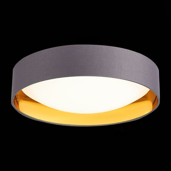 EVOLUCE SLE201112-01 Светильник потолочный Серый, Золото/Белый LED 1*24W 4000K, изображение 5