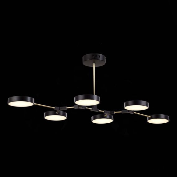 EVOLUCE SLE6004-402-06 Светильник потолочный Черный, Латунь/Черный LED 6*10W, изображение 5