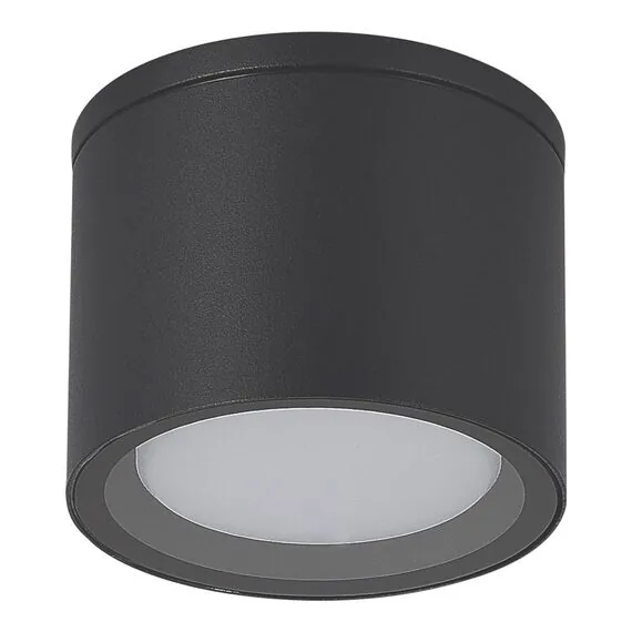 ST LUCE SL9006.702.01 Светильник уличный потолочный ST-Luce серый/белый GX53 1*9W, изображение 2