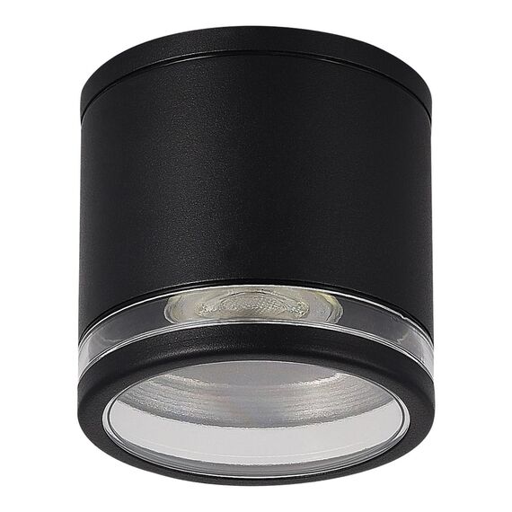 ST LUCE SL9009.402.01 Светильник уличный потолочный ST-Luce черный/белый GU10 1*50W, изображение 2
