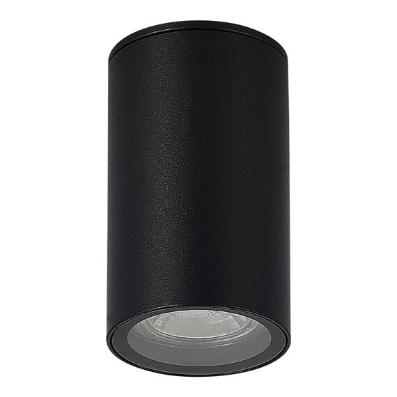 ST LUCE SL9010.412.01 Светильник уличный потолочный ST-Luce черный/белый GU10 1*50W, изображение 2