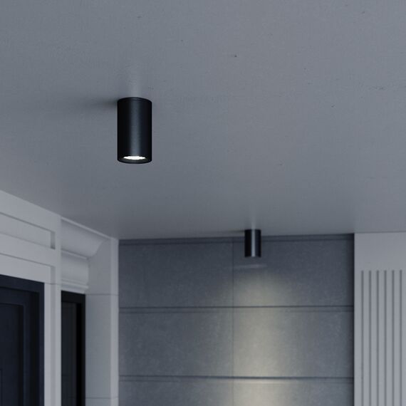 ST LUCE SL9010.712.01 Светильник уличный потолочный ST-Luce серый/белый GU10 1*50W, изображение 3