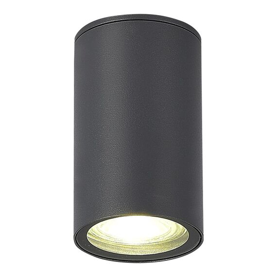 ST LUCE SL9010.712.01 Светильник уличный потолочный ST-Luce серый/белый GU10 1*50W