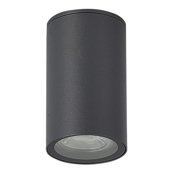 ST LUCE SL9010.712.01 Светильник уличный потолочный ST-Luce серый/белый GU10 1*50W, изображение 2