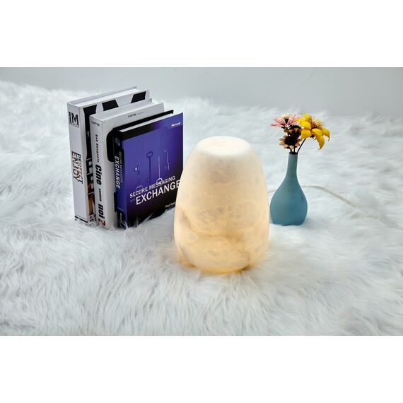 Fluorite FL1036-3T Настольная лампа Magia, изображение 6