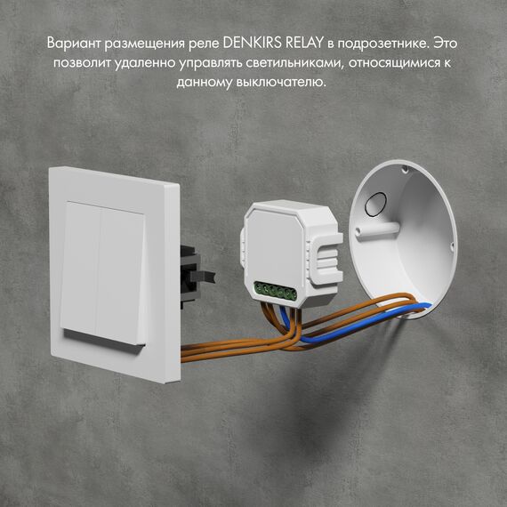 Denkirs RL1002-SM/1 Двухканальное Wi-Fi реле-выключатель 2 x 1150 Вт / 2 x 150 Вт для LED, изображение 4
