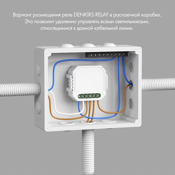 Denkirs RL1004-DM/1 Двухканальное Wi-Fi реле-диммер 2 x 100 Вт, изображение 2