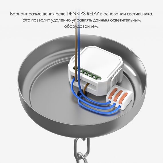 Denkirs RL1001-SM/1 Одноканальное Wi-Fi реле-выключатель 1 x 2300 Вт / 250 Вт для LED, изображение 3