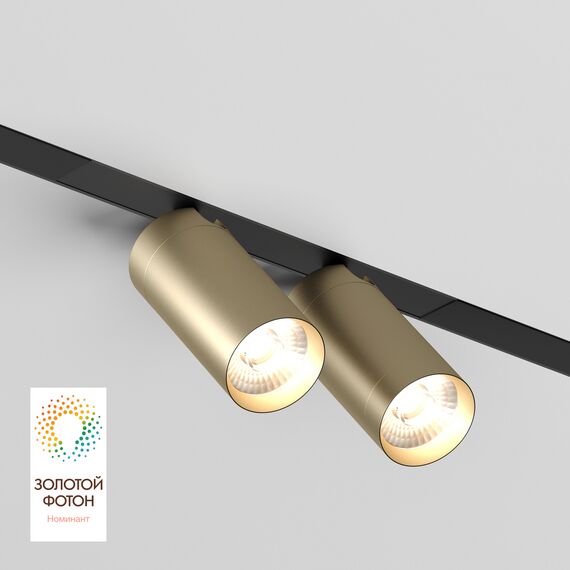 Denkirs DK8012-BG Акцентный светильник SMART SPOT DOUBLE 2x9W DIM 3000K-6000K, матовое золото с черным