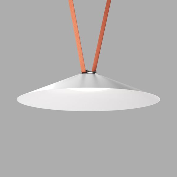 Denkirs DK5668-WH+BK Cветильник для трека-ремня Belty Smart, серия Flow, со светодиодом, D600*H122мм, 48V DC, 24W, RA90, 120°, 2700-6500K, IP20, белый с черным, алюминий