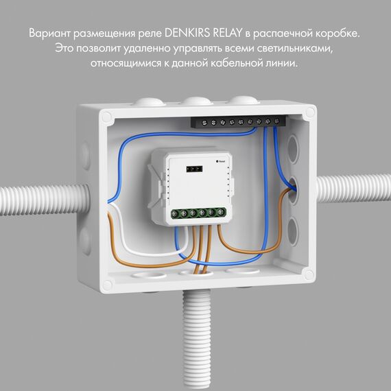Denkirs RL1002-SM Двухканальное Wi-Fi реле-выключатель 2 x 2300 Вт / 2 x 250 Вт для LED, изображение 2