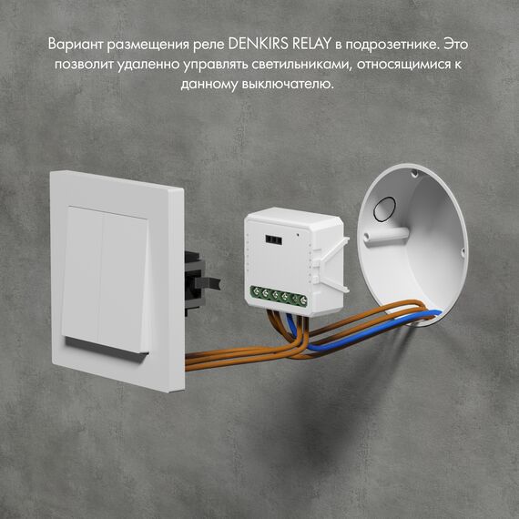 Denkirs RL1004-DM Двухканальное Wi-Fi реле-диммер 2 x 150 Вт, изображение 4