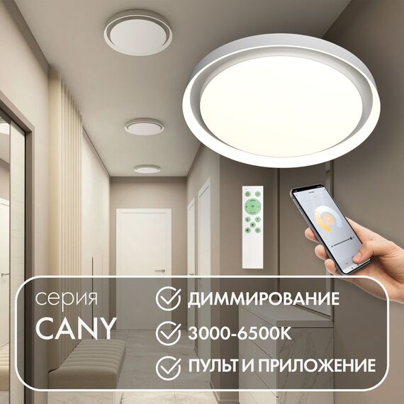 Denkirs DK6516-WH Накладной светильник со встроенным светодиодом, 50W, IP 20, 3000K - 6500K, управление пульт Д/У (в комплекте) и Wi-Fi 2,4 Ггц. Эко система Smart Life, Яндекс.Алиса, белый, металл, полимер, изображение 3