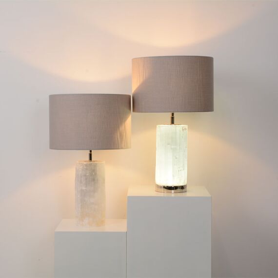Delight Collection BRTL3187S Настольная лампа, изображение 6