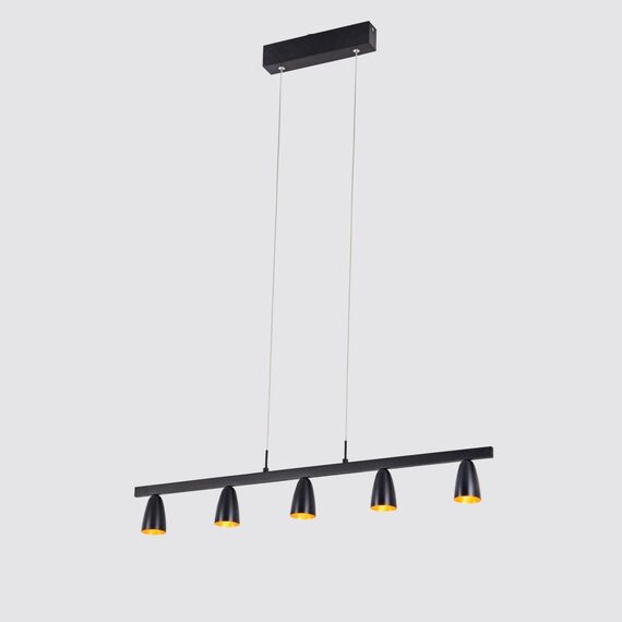 Delight Collection P0184-5A black/gold Подвесной светильник, изображение 2