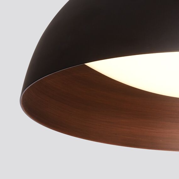 Delight Collection C019-400B black/copper Потолочный светильник, изображение 2