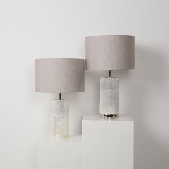 Delight Collection BRTL3187S Настольная лампа, изображение 5