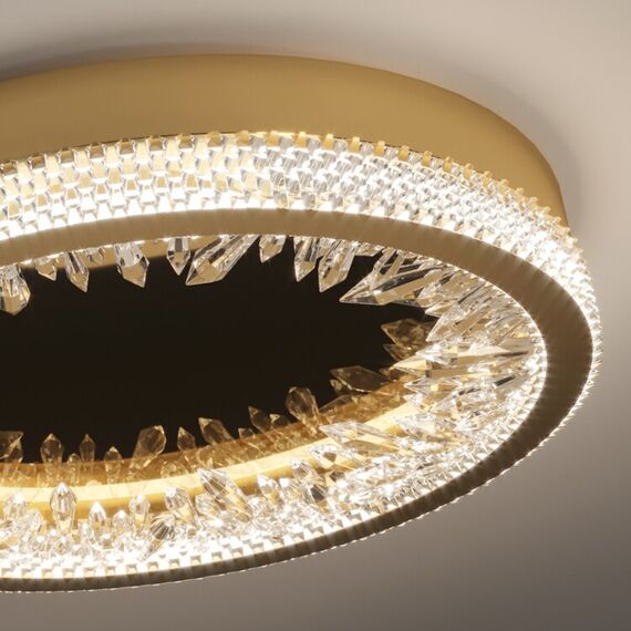 Delight Collection XD-50 gold Настенный/Потолочный светильник, изображение 3