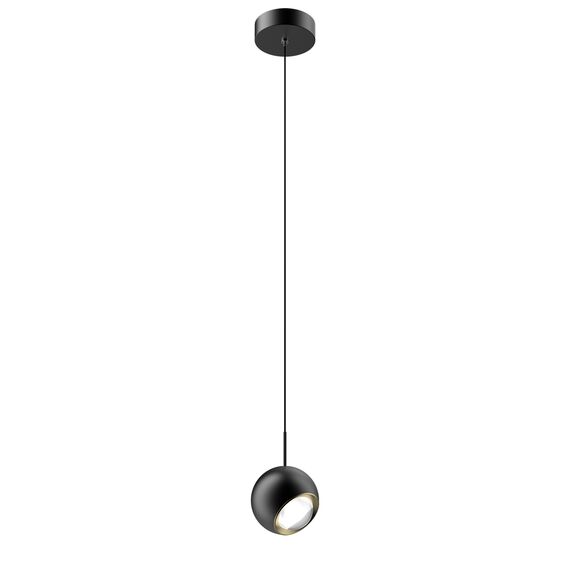 Delight Collection MD2826-1B black/gold Подвесной светильник, изображение 2