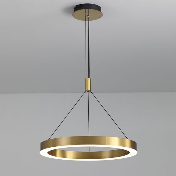Delight Collection P0516-600A titanium gold Люстра, изображение 3