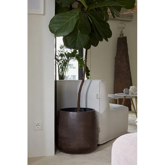 Delight Collection CONE NERO Кашпо, изображение 6