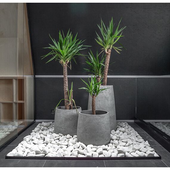 Delight Collection CONE NERO Кашпо, изображение 5