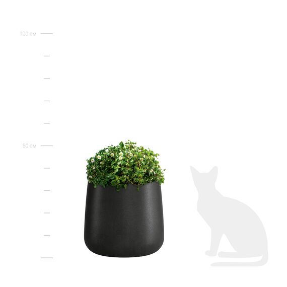 Delight Collection CONE NERO Кашпо, изображение 3
