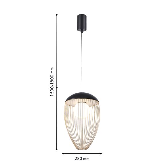 Favourite 4241-1P, подвес, D280xH580/1800, LEDx7W, 650LM, 4000K, included, изображение 3