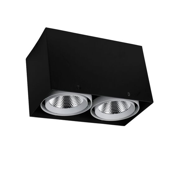 Favourite 1987-2U, потолочный светильник, L265xW140xH160, COB 2xLEDx12W, RA>80, BEAM ANGLE:24°, 1920LM, 4000K, included