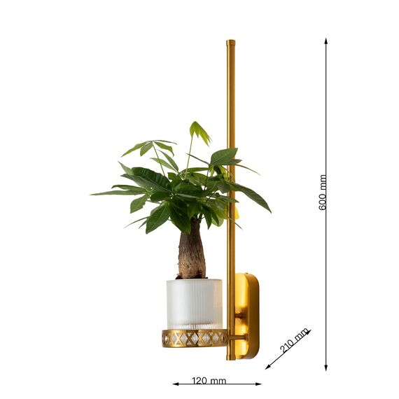 Favourite 4050-1W, настенный светильник, D210xW120xH600, LEDx8W, 2700LM, 3000K, included, изображение 7