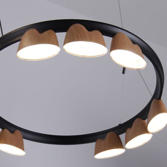 Favourite 4266-21P, подвесная люстра, L875xW600xH400/1610, LEDx95W, 4085LM, 4000K, included, изображение 9