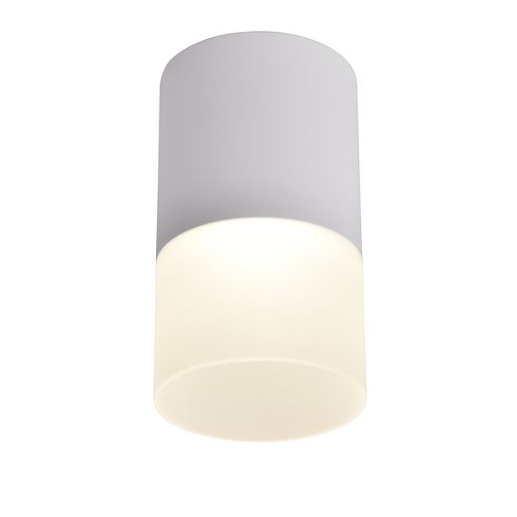 Favourite 3069-1C, потолочный светильник, D64xH110, LEDx5W, 400LM, 4000K, IP20, included